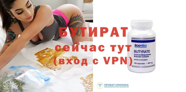хмурый Аркадак