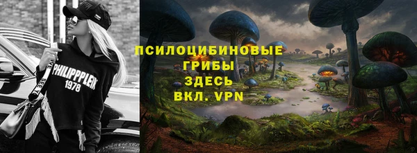 гидропоника Балабаново